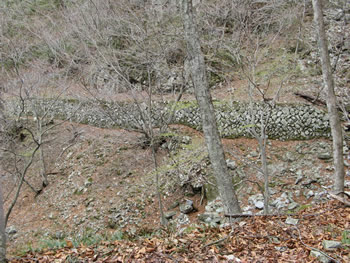 f:id:gari2:20140920100510j:plain f:id:gari2:20140920100510j:plain