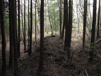 f:id:gari2:20141111223304j:plain