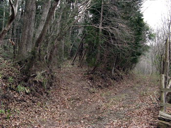 f:id:gari2:20141111223338j:plain