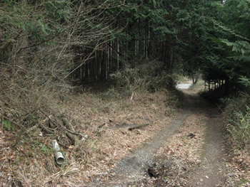 f:id:gari2:20141111223406j:plain