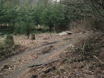 f:id:gari2:20141111223437j:plain