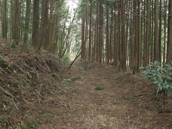 f:id:gari2:20141111223631j:plain