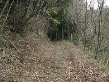 f:id:gari2:20141111223741j:plain