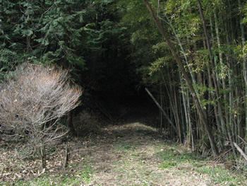 f:id:gari2:20141111223852j:plain