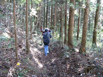 f:id:gari2:20150619221312j:plain