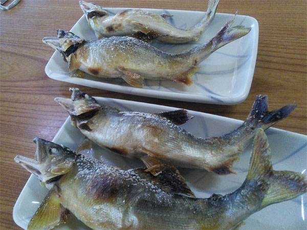 f:id:gari2:20160807211554j:plain f:id:gari2:20160807211554j:plain