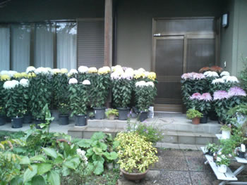 f:id:gari2:20170303204637j:plain