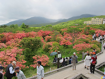 f:id:gari2:20200519173130j:plain f:id:gari2:20200519173130j:plain