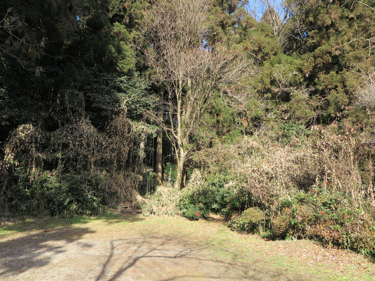 f:id:gari2:20210110121256j:plain