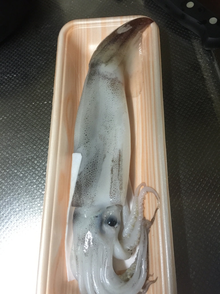 f:id:garigarigarikuson:20160723024941j:plain f:id:garigarigarikuson:20160723024941j:plain