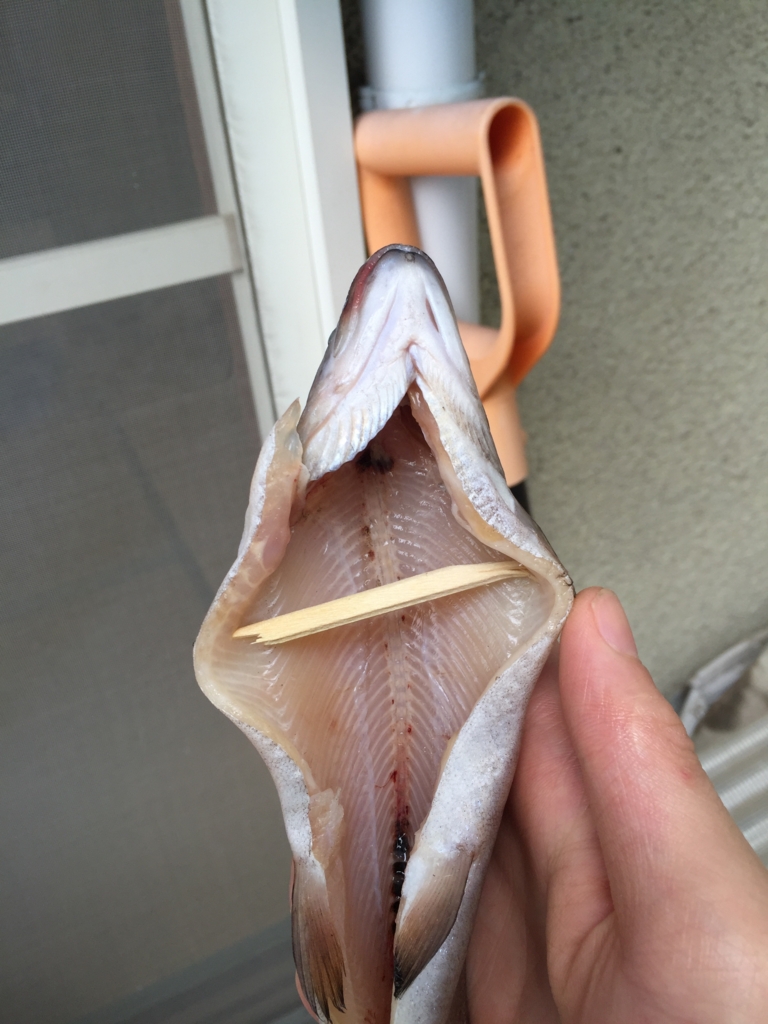 f:id:garigarigarikuson:20160817040457j:plain