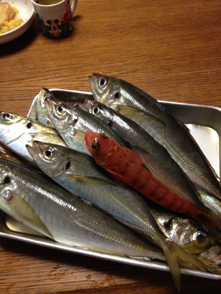 f:id:garigarigarikuson:20161011011054j:plain