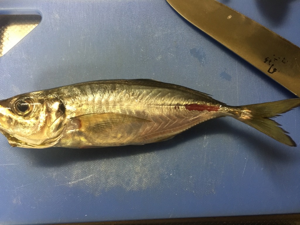 f:id:garigarigarikuson:20161011011134j:plain