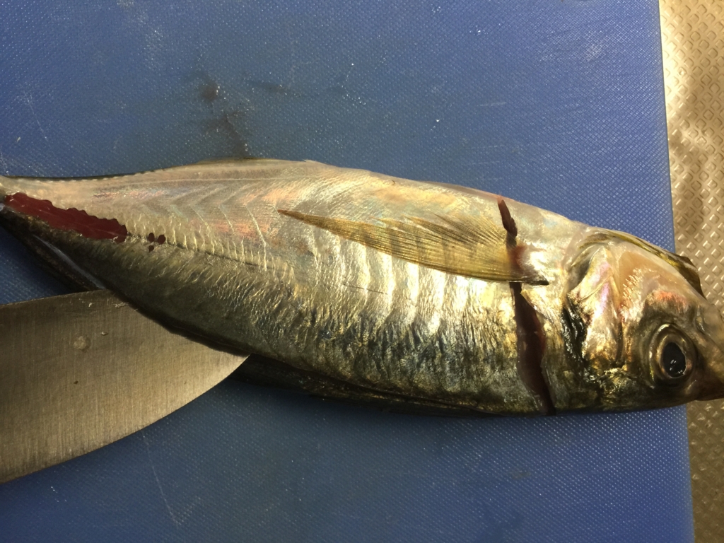 f:id:garigarigarikuson:20161011012226j:plain