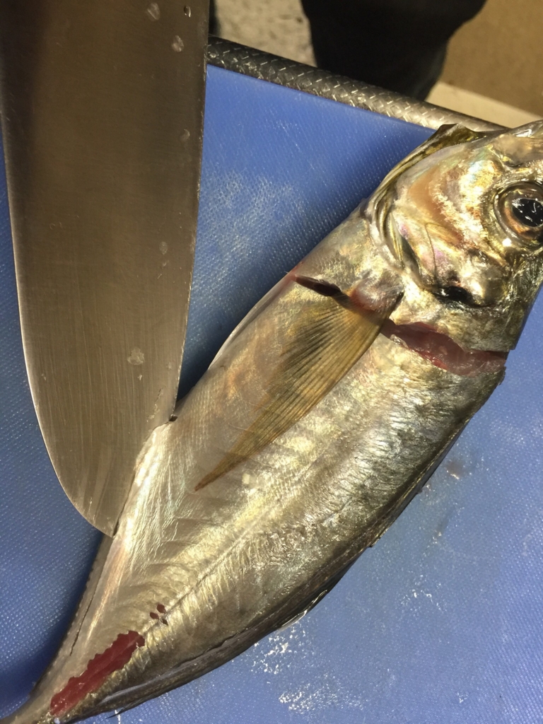 f:id:garigarigarikuson:20161011012310j:plain