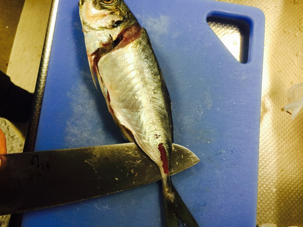 f:id:garigarigarikuson:20161011012611j:plain