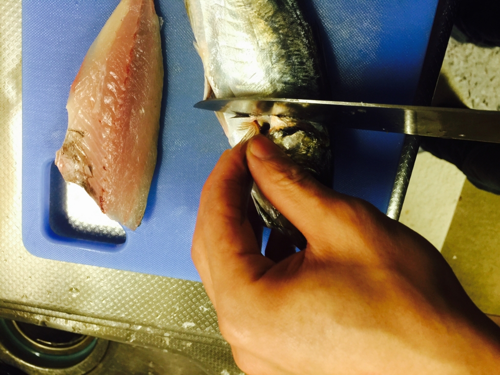 f:id:garigarigarikuson:20161011012704j:plain