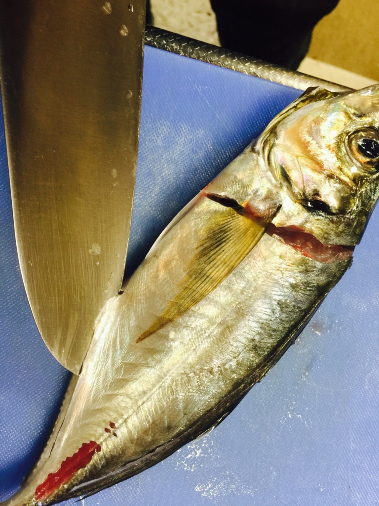 f:id:garigarigarikuson:20161011012756j:plain