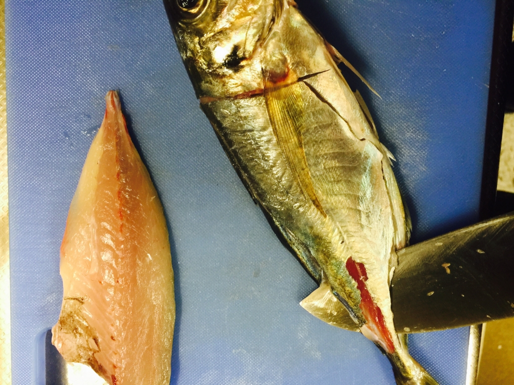 f:id:garigarigarikuson:20161011012850j:plain