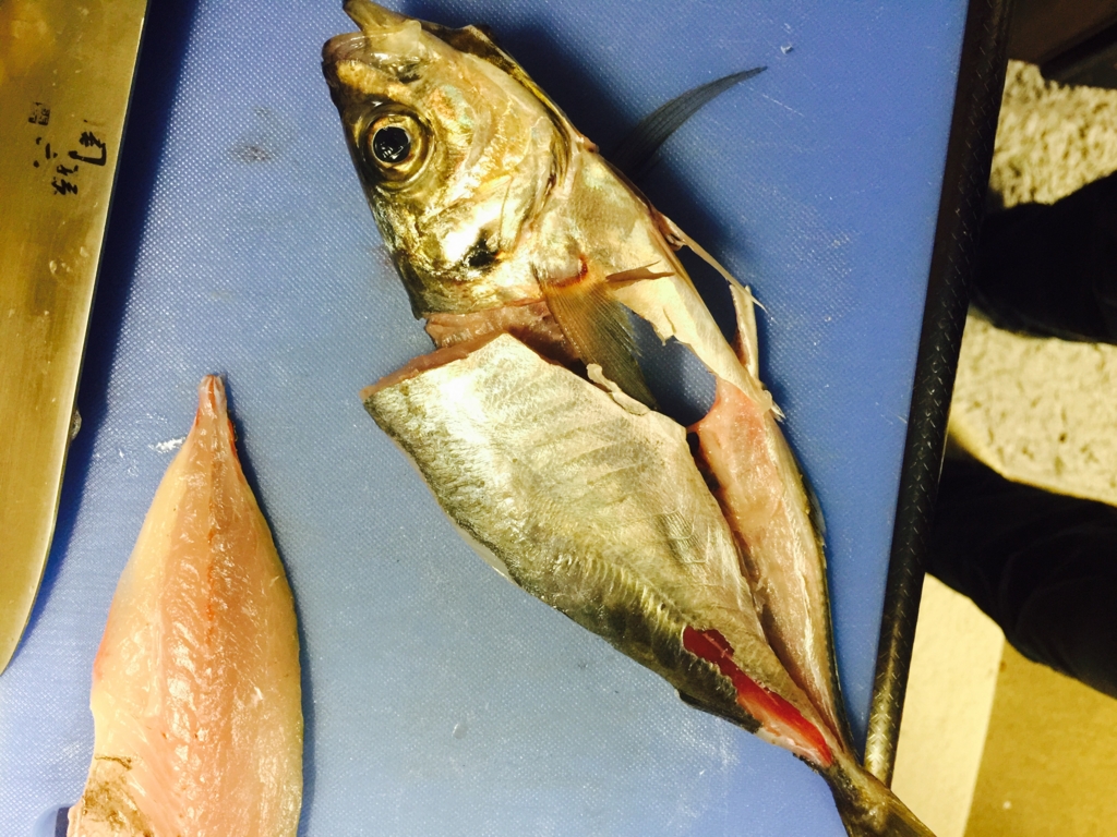 f:id:garigarigarikuson:20161011012924j:plain