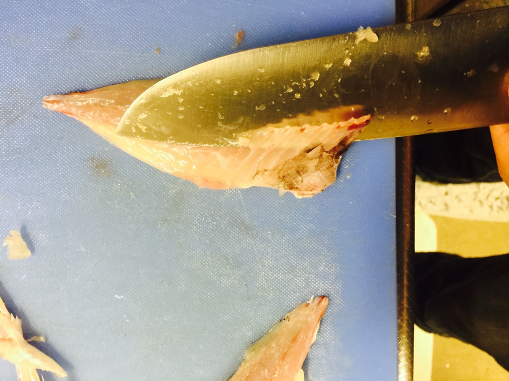 f:id:garigarigarikuson:20161011013005j:plain