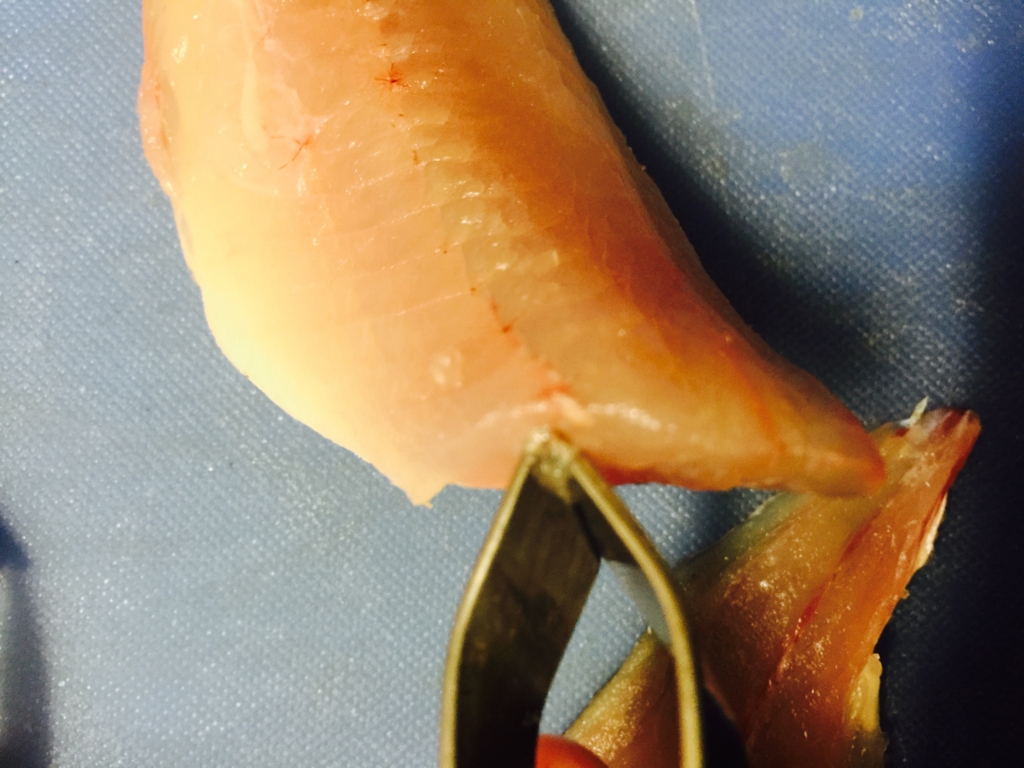 f:id:garigarigarikuson:20161011013059j:plain