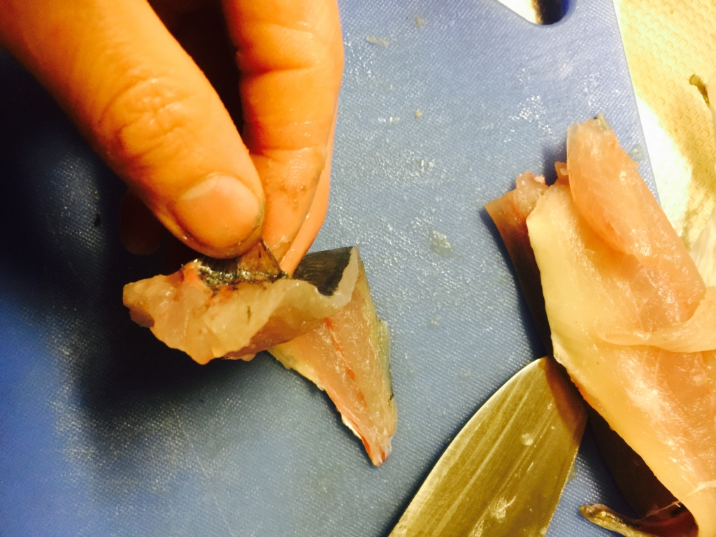 f:id:garigarigarikuson:20161011013237j:plain