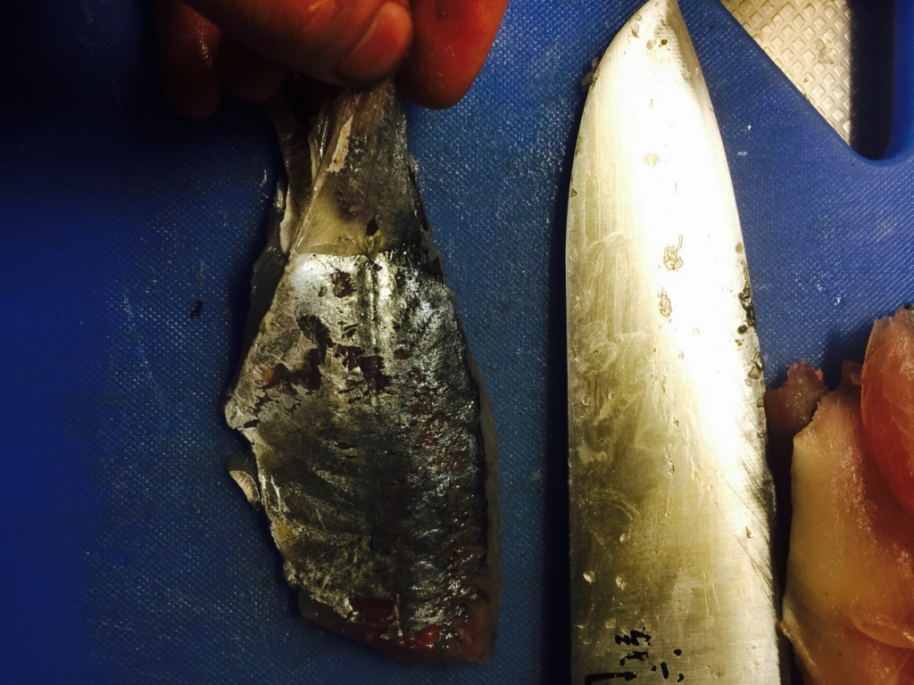 f:id:garigarigarikuson:20161011013424j:plain