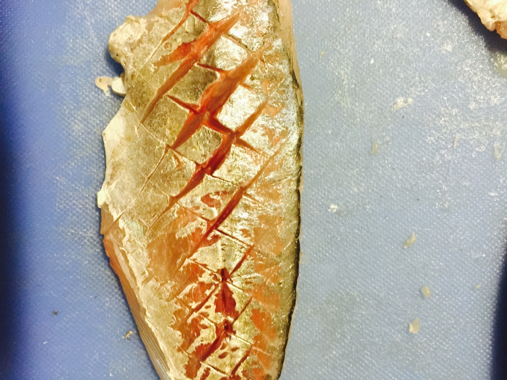 f:id:garigarigarikuson:20161011013836j:plain