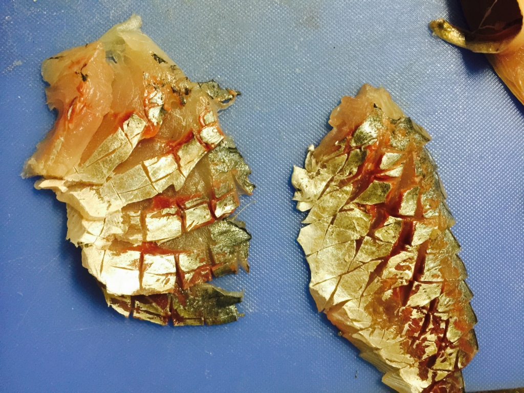 f:id:garigarigarikuson:20161011013921j:plain