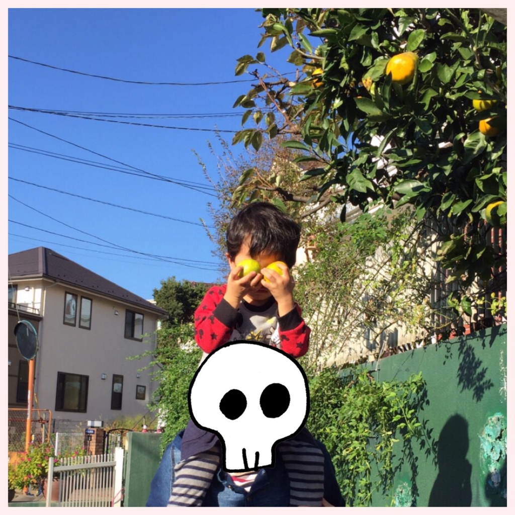 f:id:garigarigarikuson:20161105002505j:plain