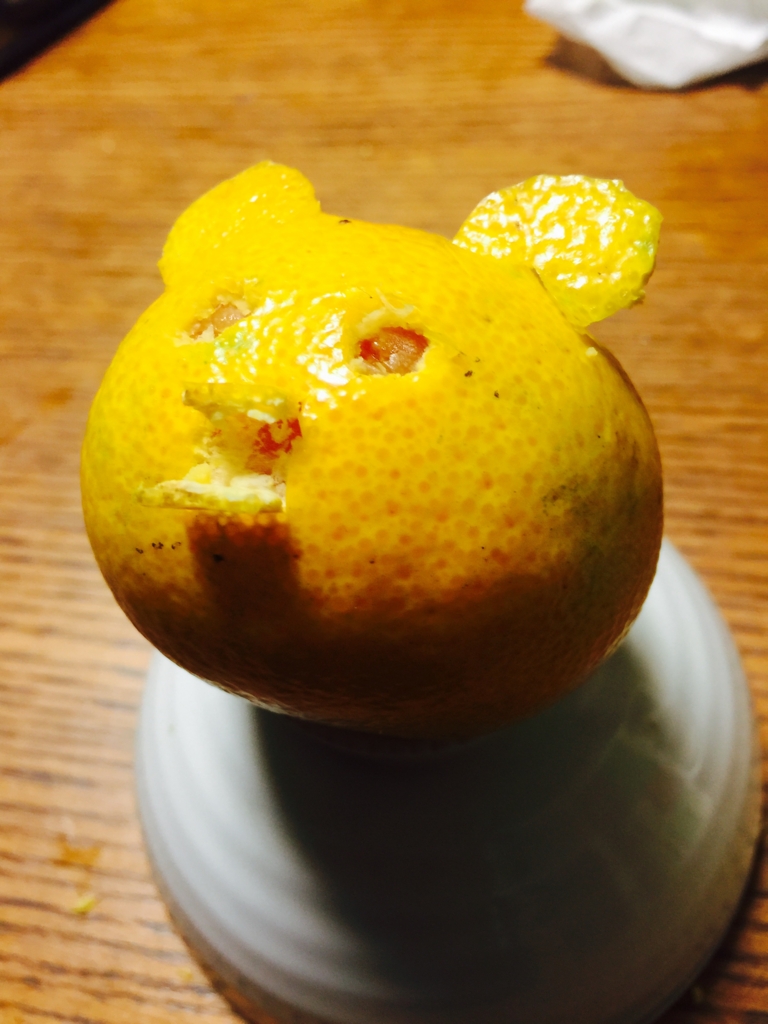 f:id:garigarigarikuson:20161107023724j:plain
