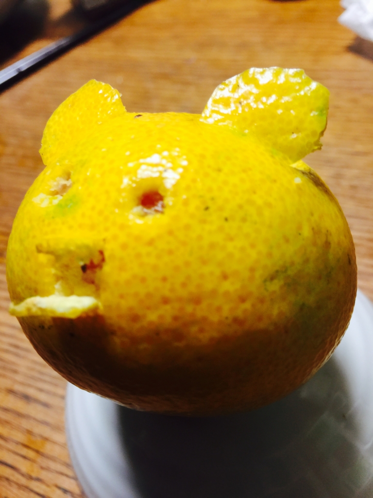 f:id:garigarigarikuson:20161107023747j:plain