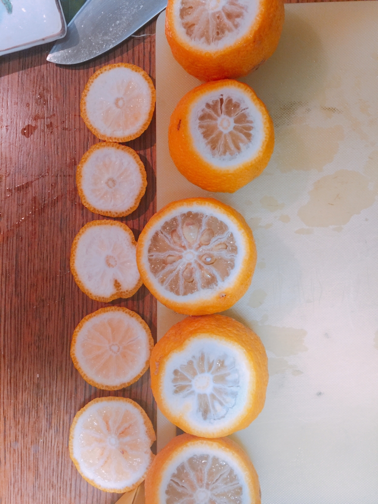 f:id:garigarigarikuson:20161227035721j:plain f:id:garigarigarikuson:20161227035721j:plain