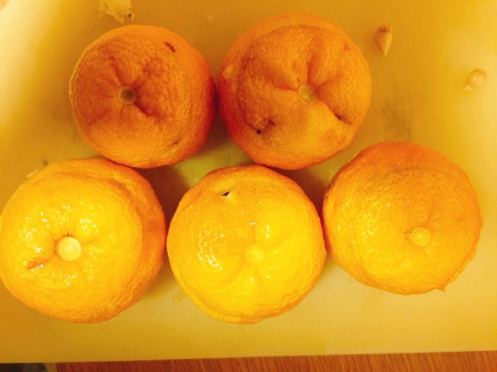 f:id:garigarigarikuson:20161227040527j:plain f:id:garigarigarikuson:20161227040527j:plain