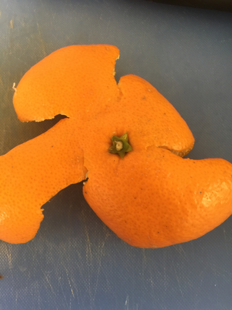 f:id:garigarigarikuson:20161230024220j:plain f:id:garigarigarikuson:20161230024220j:plain