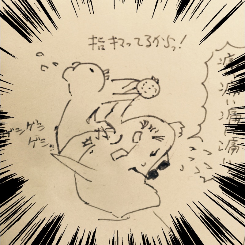 f:id:garigarigarikuson:20161230153114j:plain