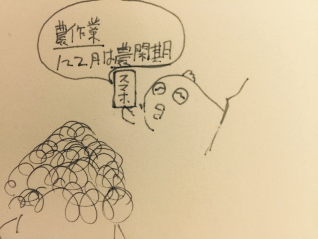 f:id:garigarigarikuson:20170109015554j:plain