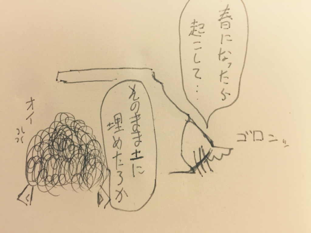 f:id:garigarigarikuson:20170109015621j:plain
