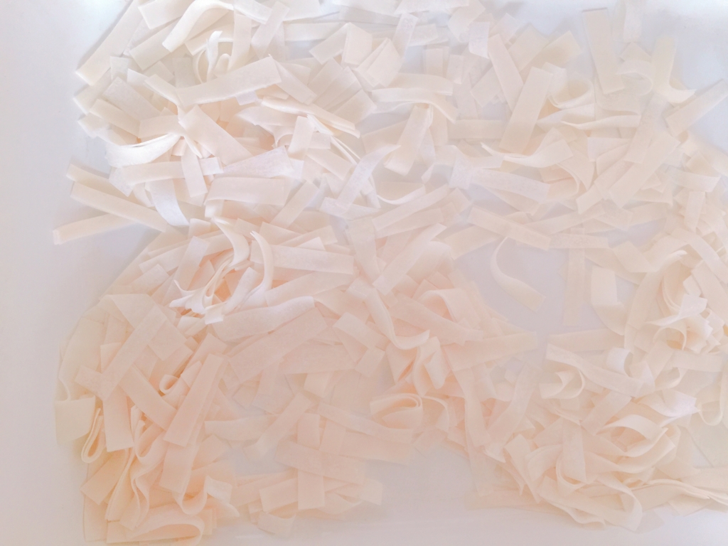 f:id:garigarigarikuson:20170112141549j:plain