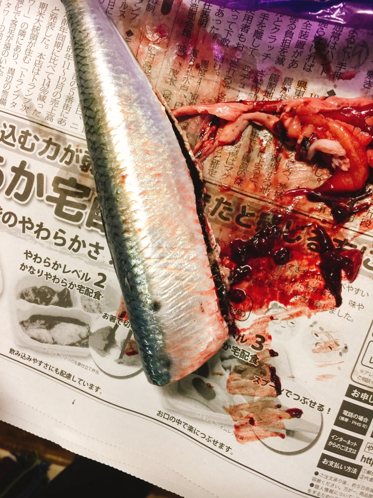 f:id:garigarigarikuson:20170130020432j:plain f:id:garigarigarikuson:20170130020432j:plain