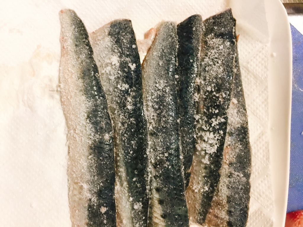 f:id:garigarigarikuson:20170130021604j:plain f:id:garigarigarikuson:20170130021604j:plain
