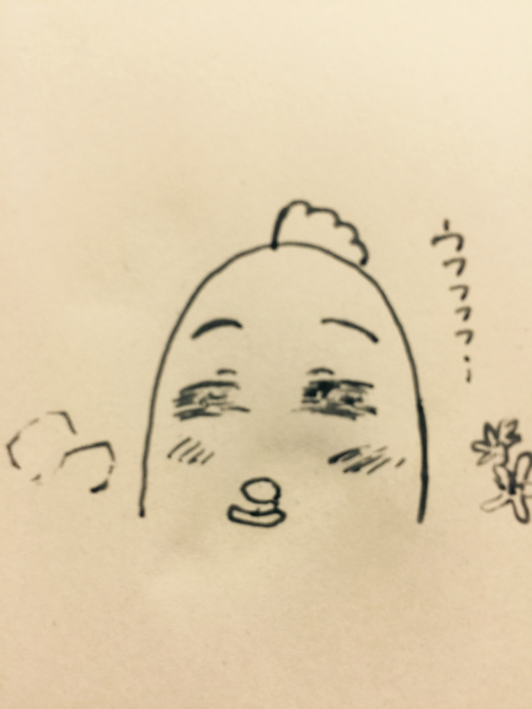 f:id:garigarigarikuson:20170316024254j:plain f:id:garigarigarikuson:20170316024254j:plain