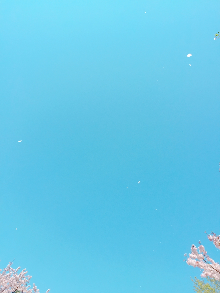 f:id:garigarigarikuson:20170416030253j:plain f:id:garigarigarikuson:20170416030253j:plain