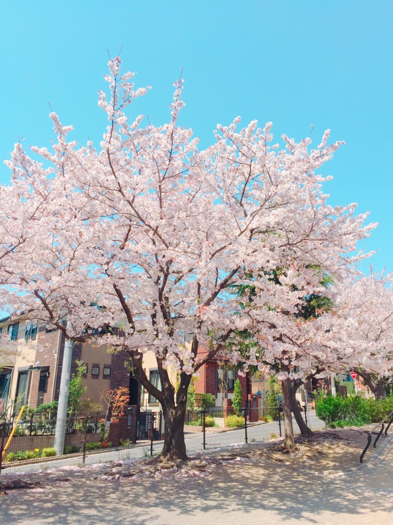 f:id:garigarigarikuson:20170416030332j:plain f:id:garigarigarikuson:20170416030332j:plain