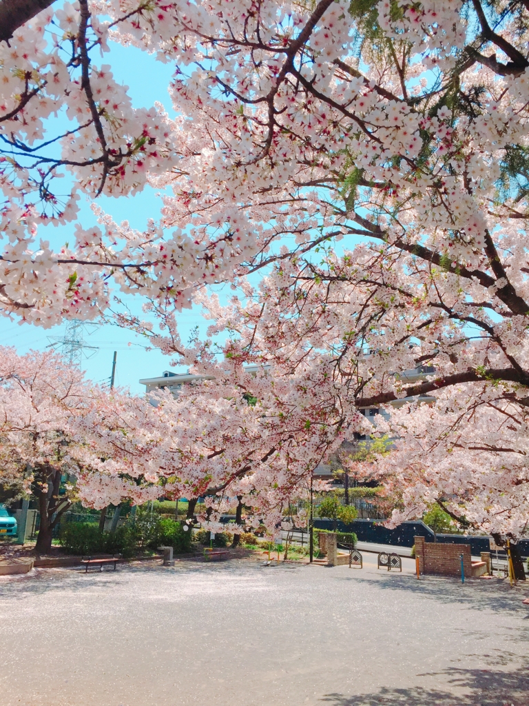 f:id:garigarigarikuson:20170416030620j:plain f:id:garigarigarikuson:20170416030620j:plain