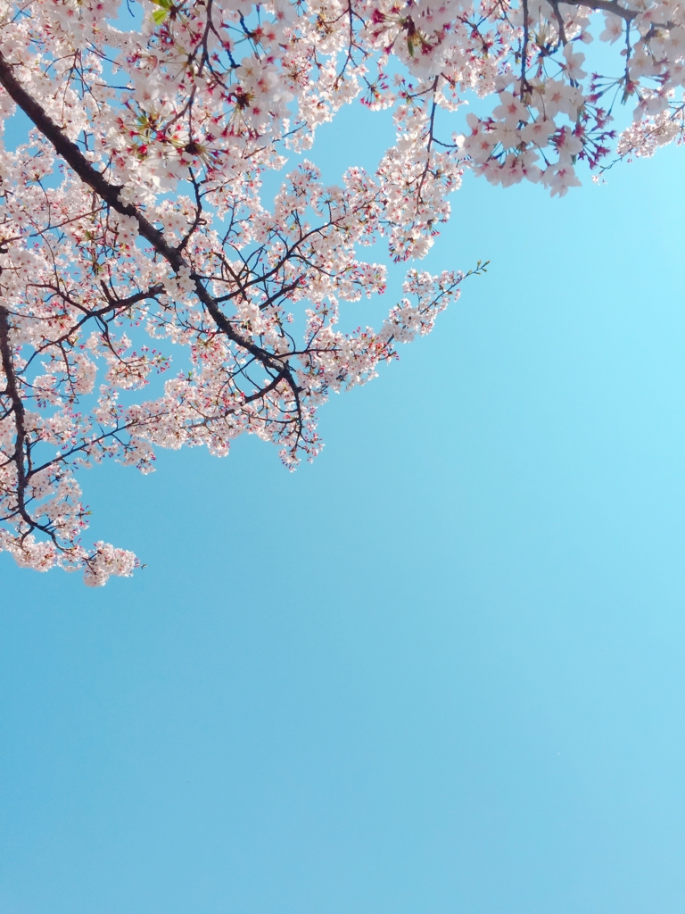 f:id:garigarigarikuson:20170416030738j:plain f:id:garigarigarikuson:20170416030738j:plain