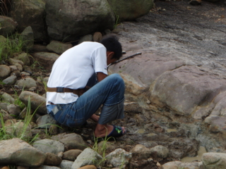 f:id:garimpo:20090920143834j:image