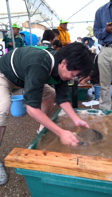 f:id:garimpo:20131103113515j:image