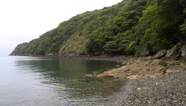 f:id:garimpo:20150504110814j:image